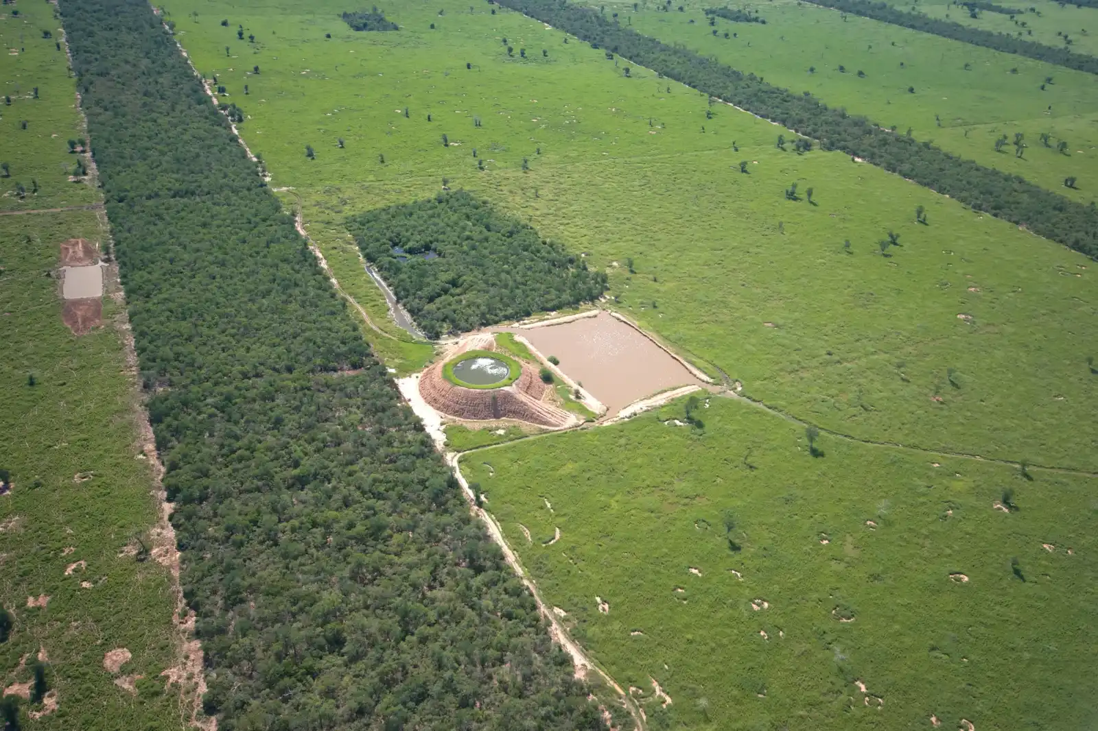 investment bovinos infrastruktur